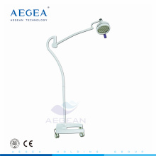 Mobile floor standing patient examination surgical light with wheels